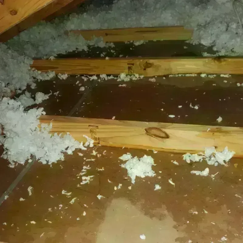 Attic Water Damage in Whitwell, TN